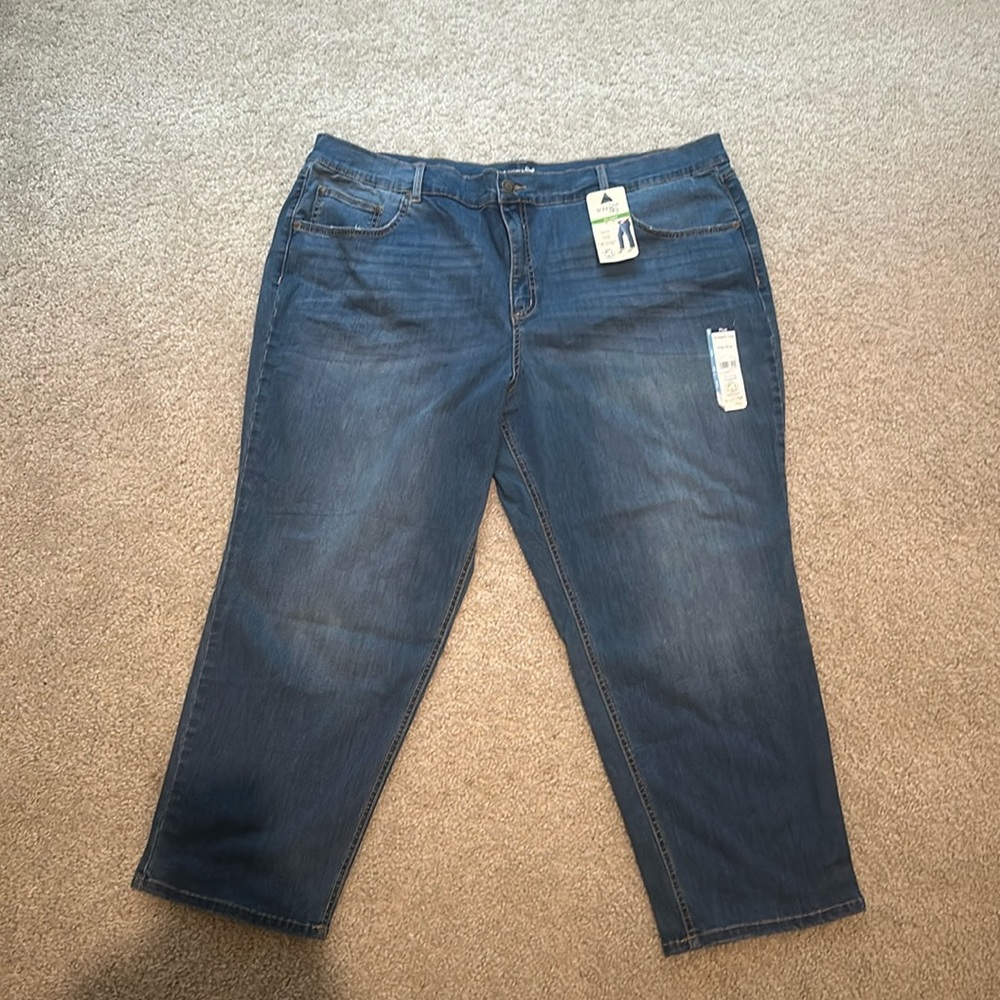 Terra & Sky Straight Leg High Rise Plus Size Jeans